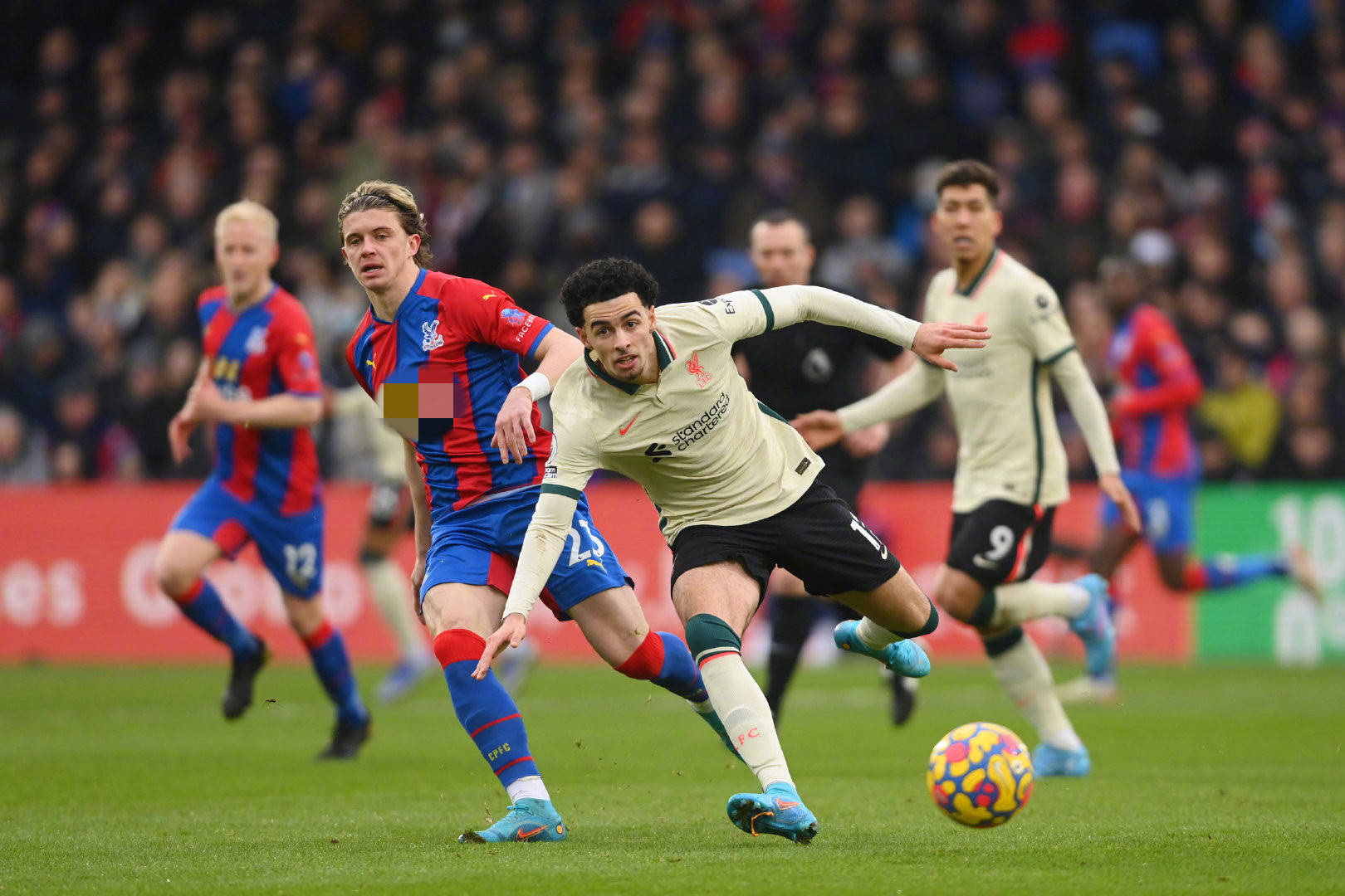 全称为欧洲 全称为欧洲